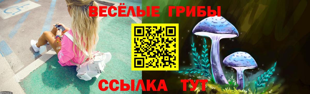 Галлюциногенные грибы Magic Shrooms  Вход с VPN  Волхов 